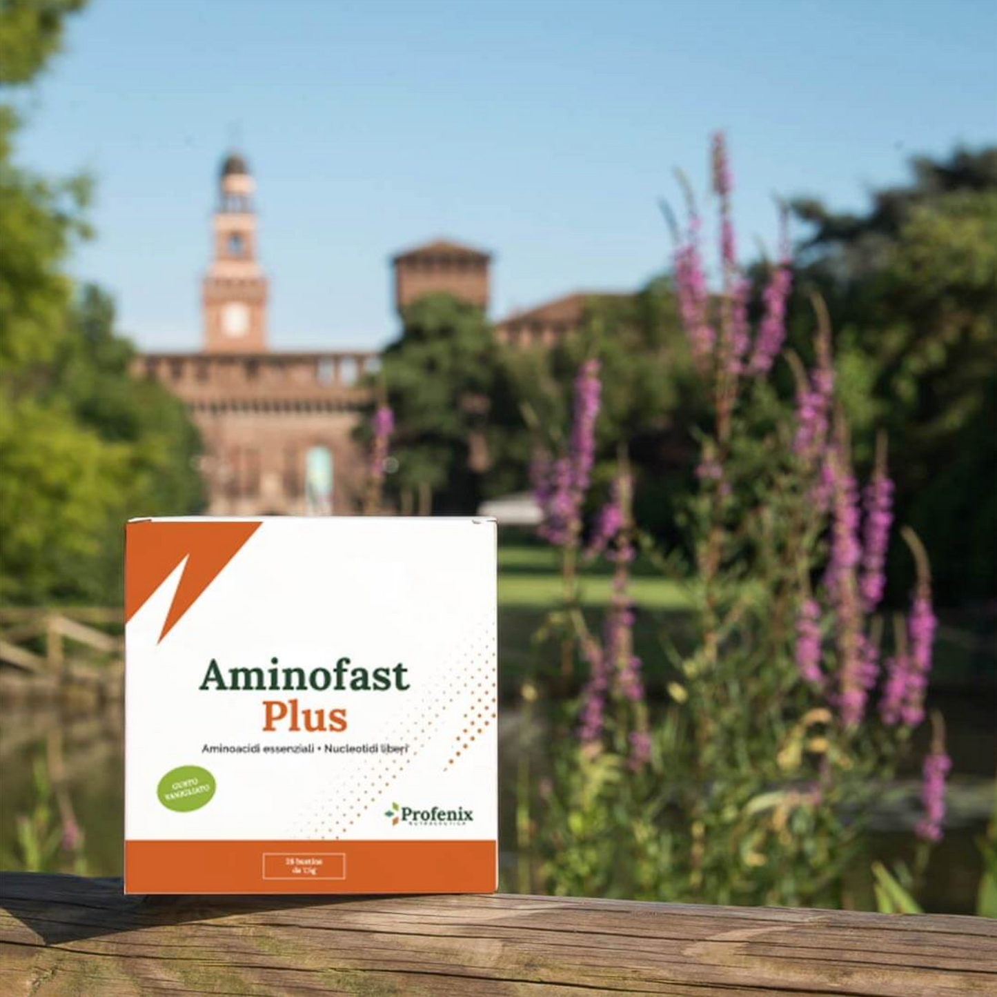 Amino Fast Plus - Profenix